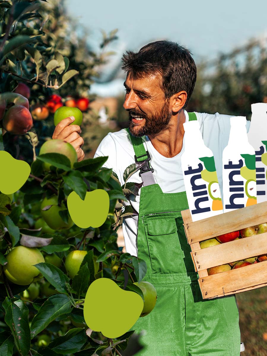An image of a man apple picking but inside his fruit basket are bottles of Crisp Apple hint water.