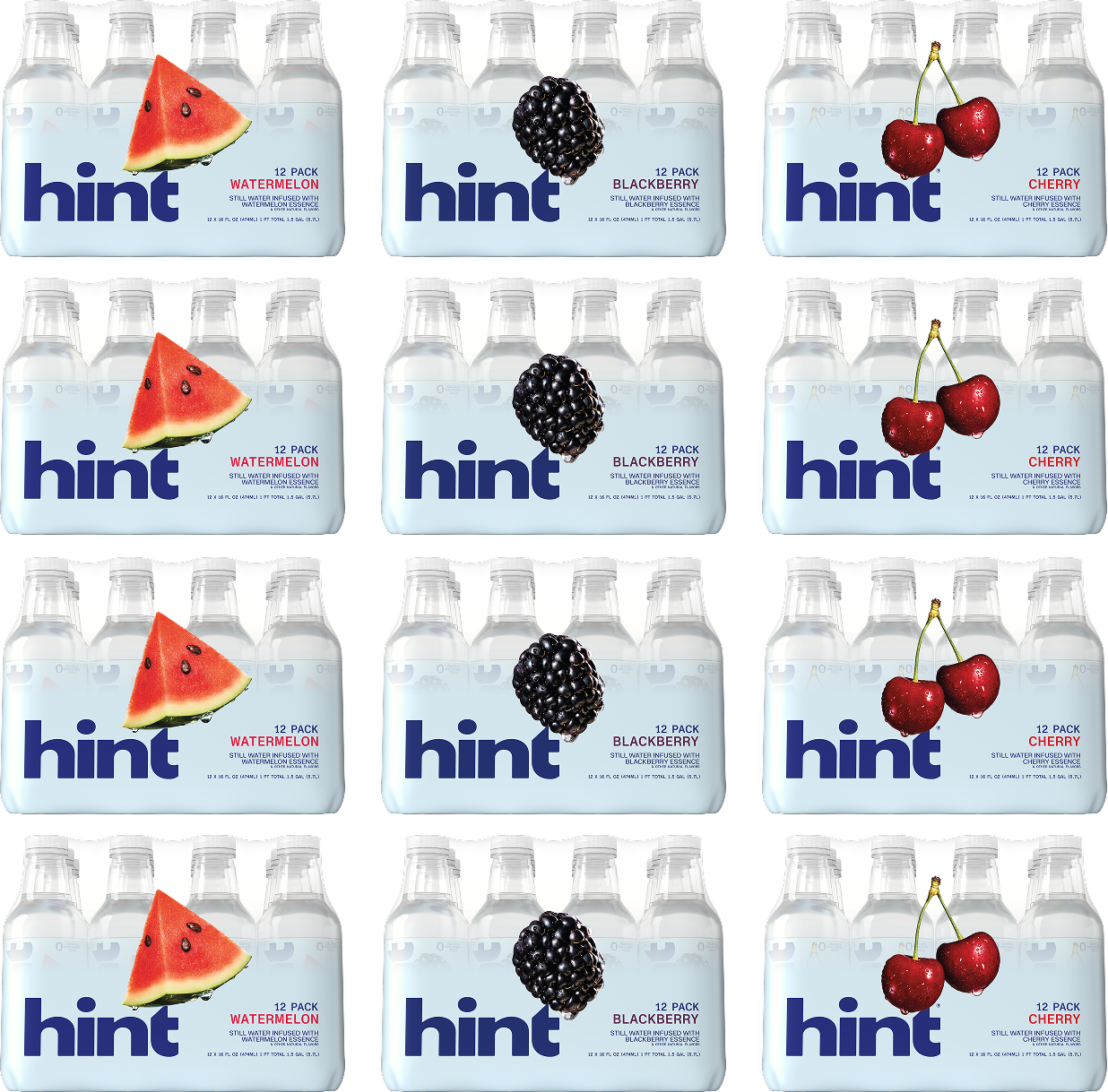 hint® water top sellers 12 case bundle