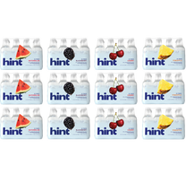 Hint water top sellers 12-case bundle
