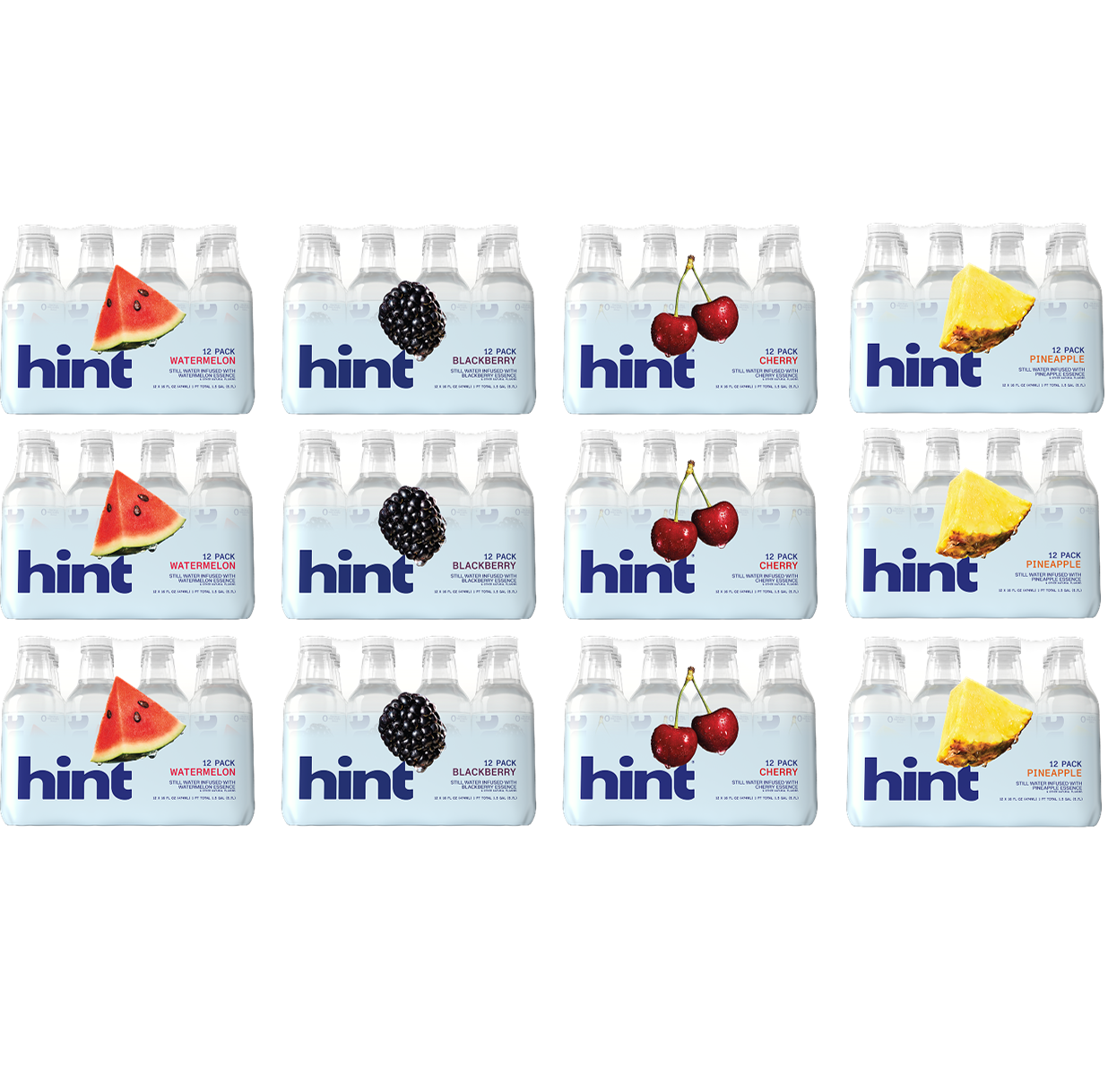 Hint water top sellers 12-case bundle