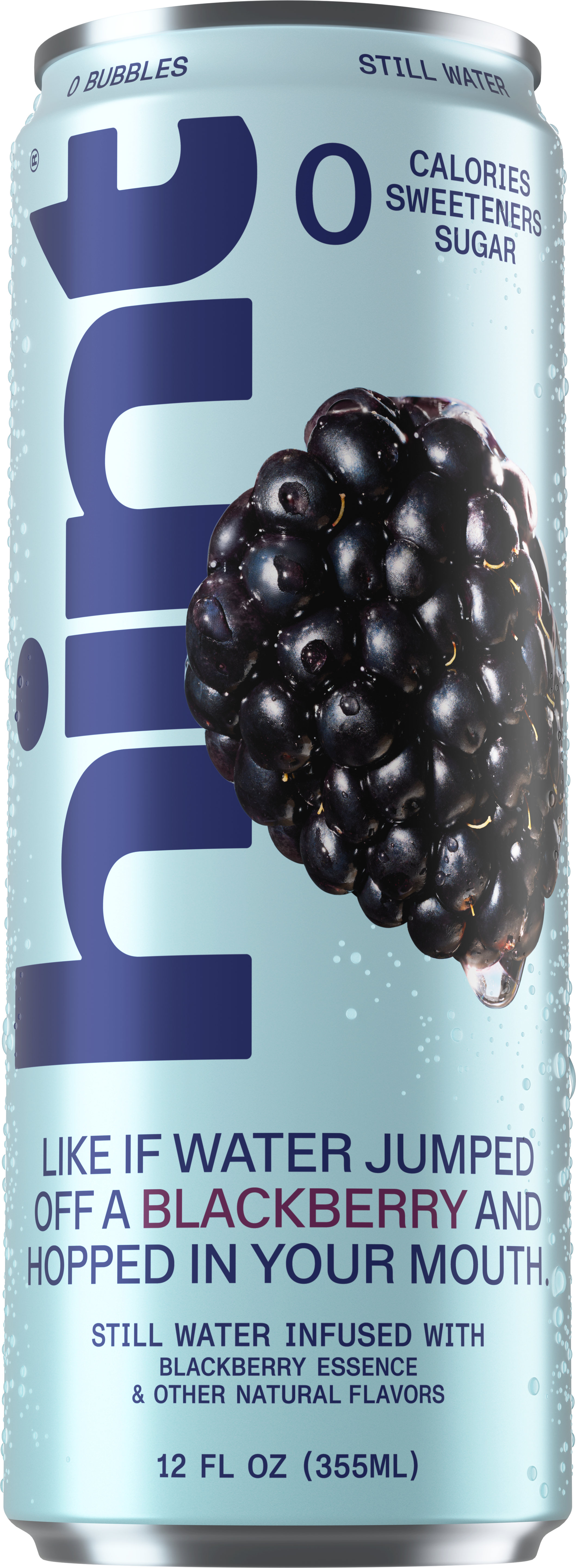 hint® Blackberry water - 12 pack 12oz still cans