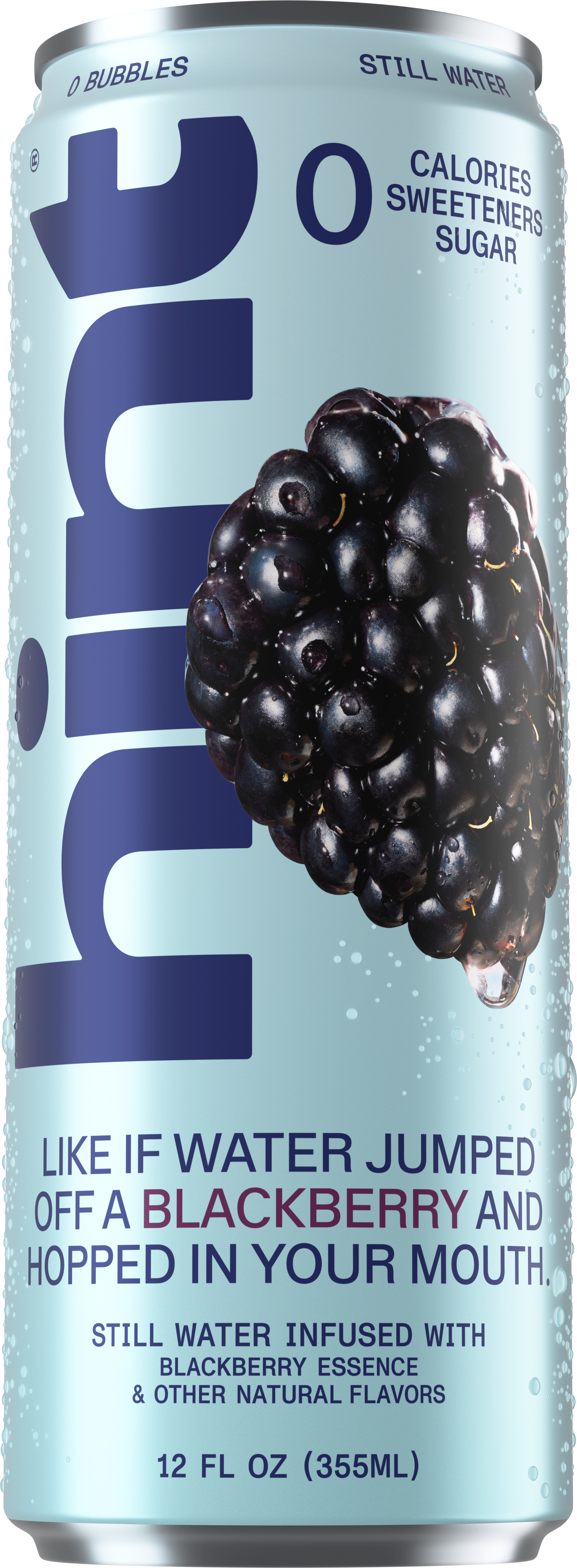 hint® Blackberry water - 12 pack 12oz still cans