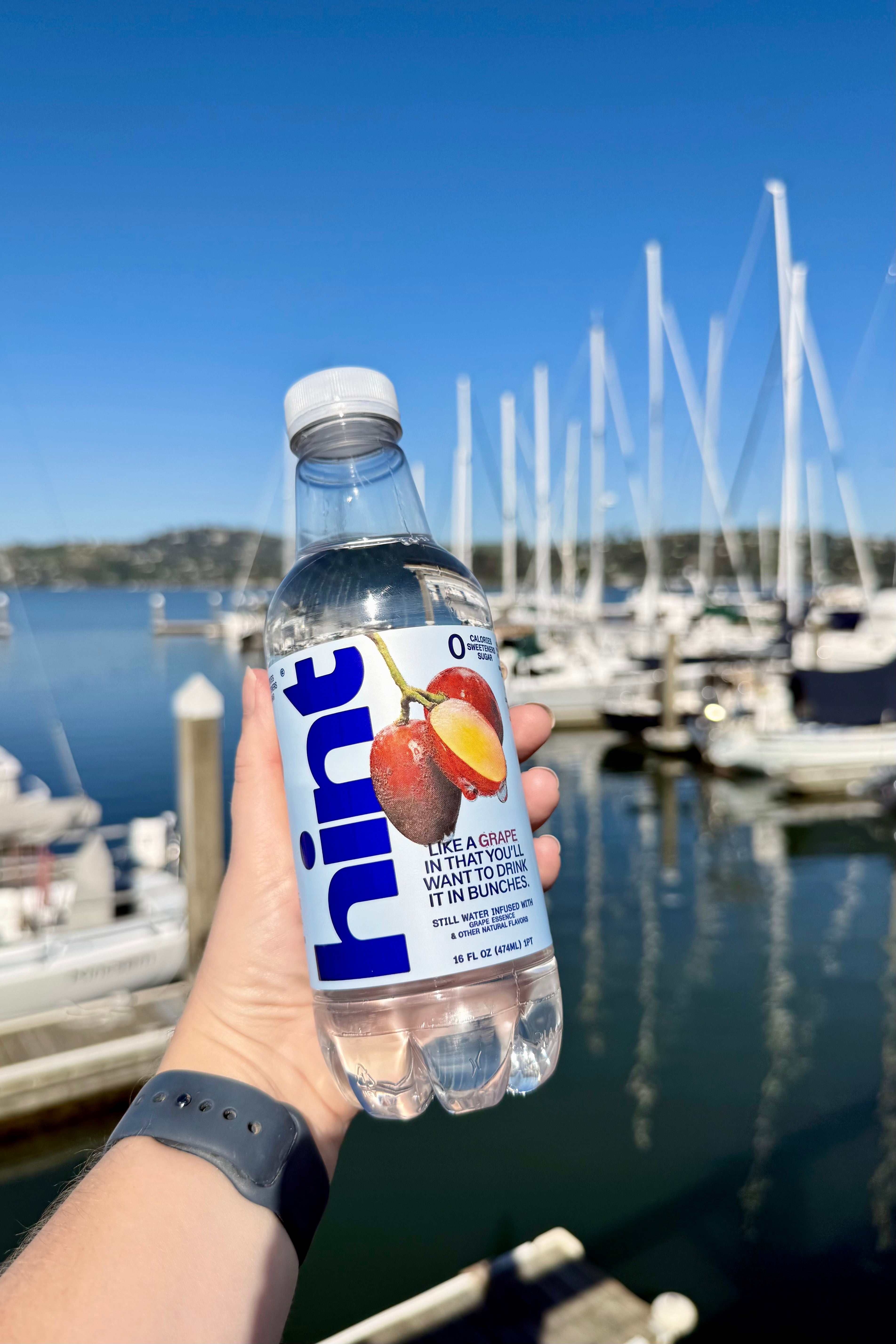 Hand holding a 16 fl oz Hint Water bottle with grape flavor label against marina background
