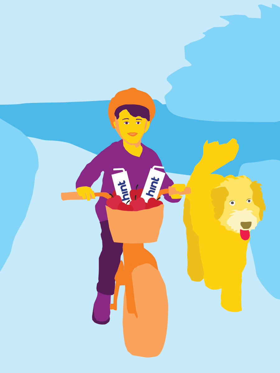 A bright colored graphic of a little boy riding his bike with his dog next to him. Inside his bike basket are two boxes of hint kids water.