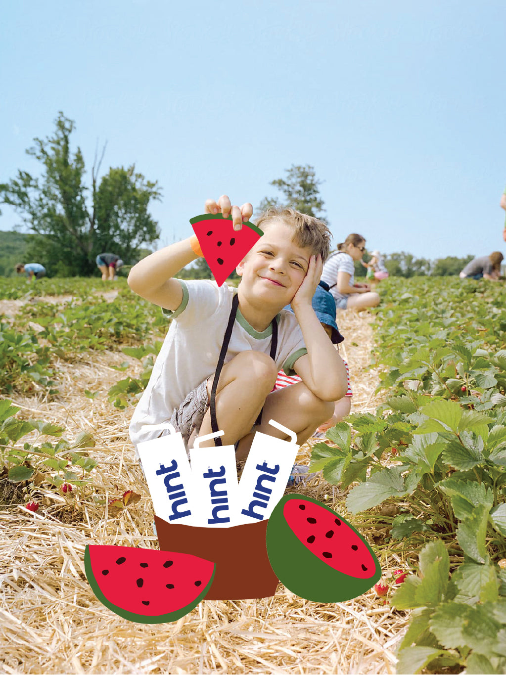 A kids model picking watermelon at a farm. He is holding a graphic of slice of watermelon with a basket full of hint kids water boxes.