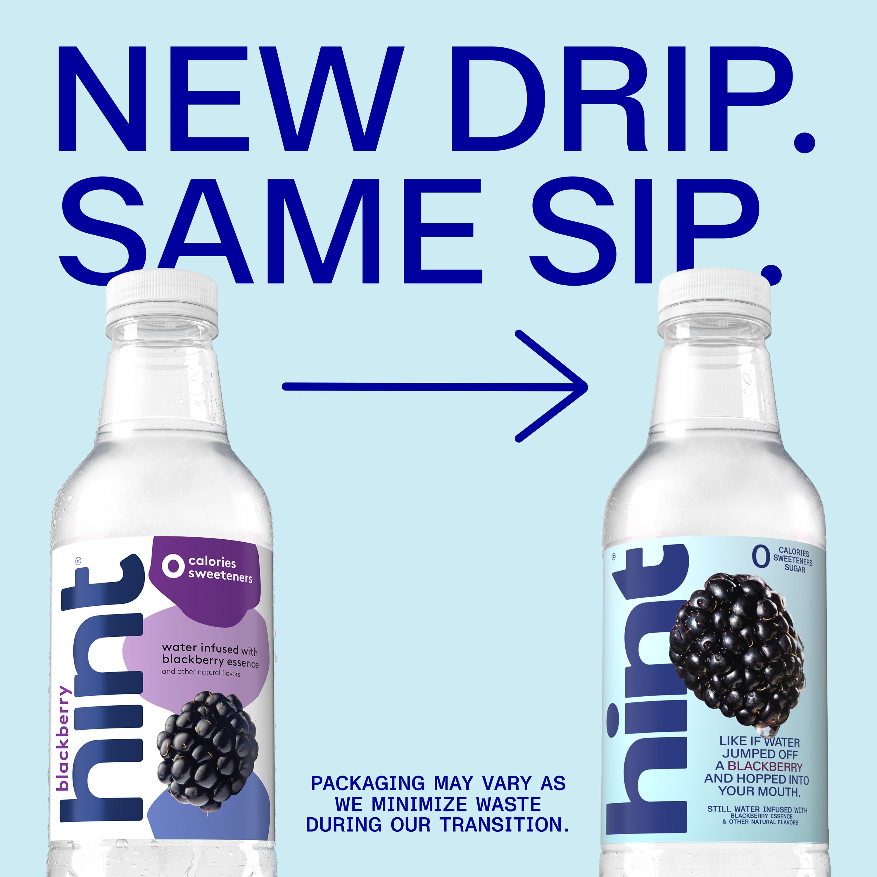 Blackberry Infused Water 16 oz | Hint – drinkhint.com